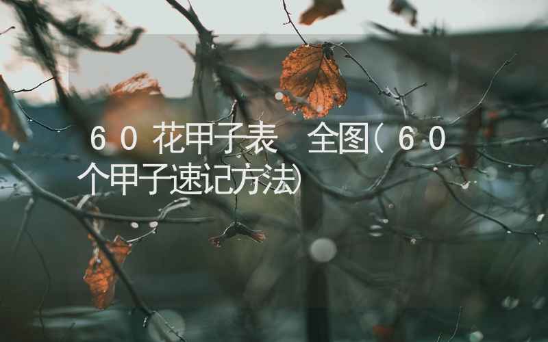 60花甲子表 全图(60个甲子速记方法)